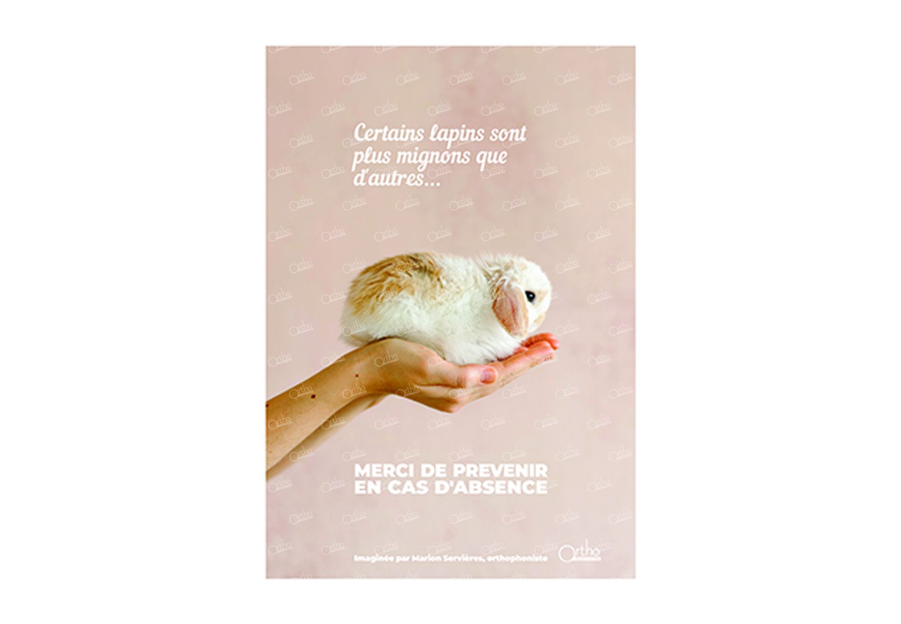 Image sur le produit Affiche A3 - Lapins